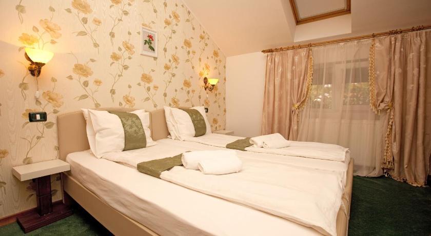 Pension Dinu Residence Тимишоара Экстерьер фото